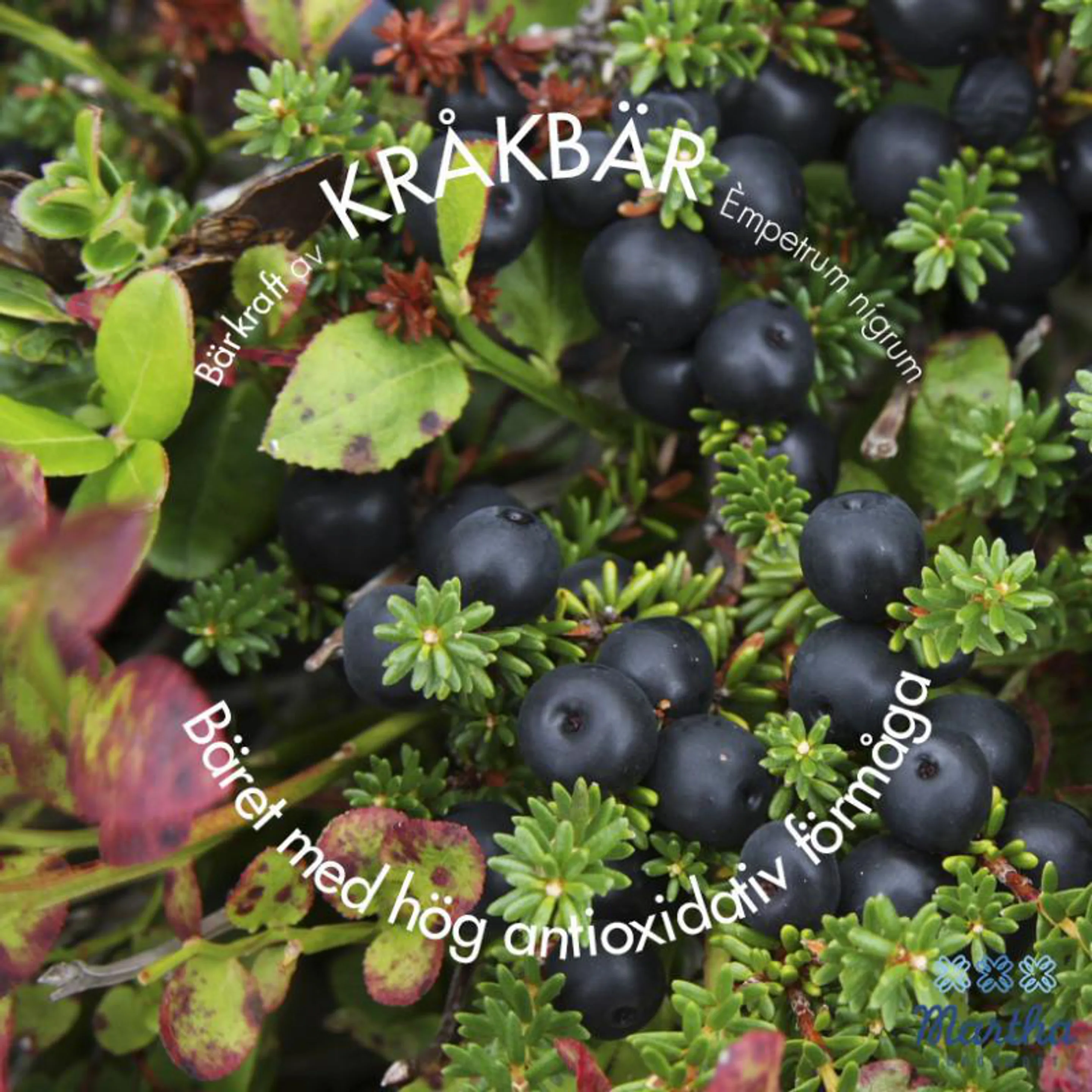 Martha B rkraft Av Kr kb r martha-b-rkraft-av-kr-kb-r