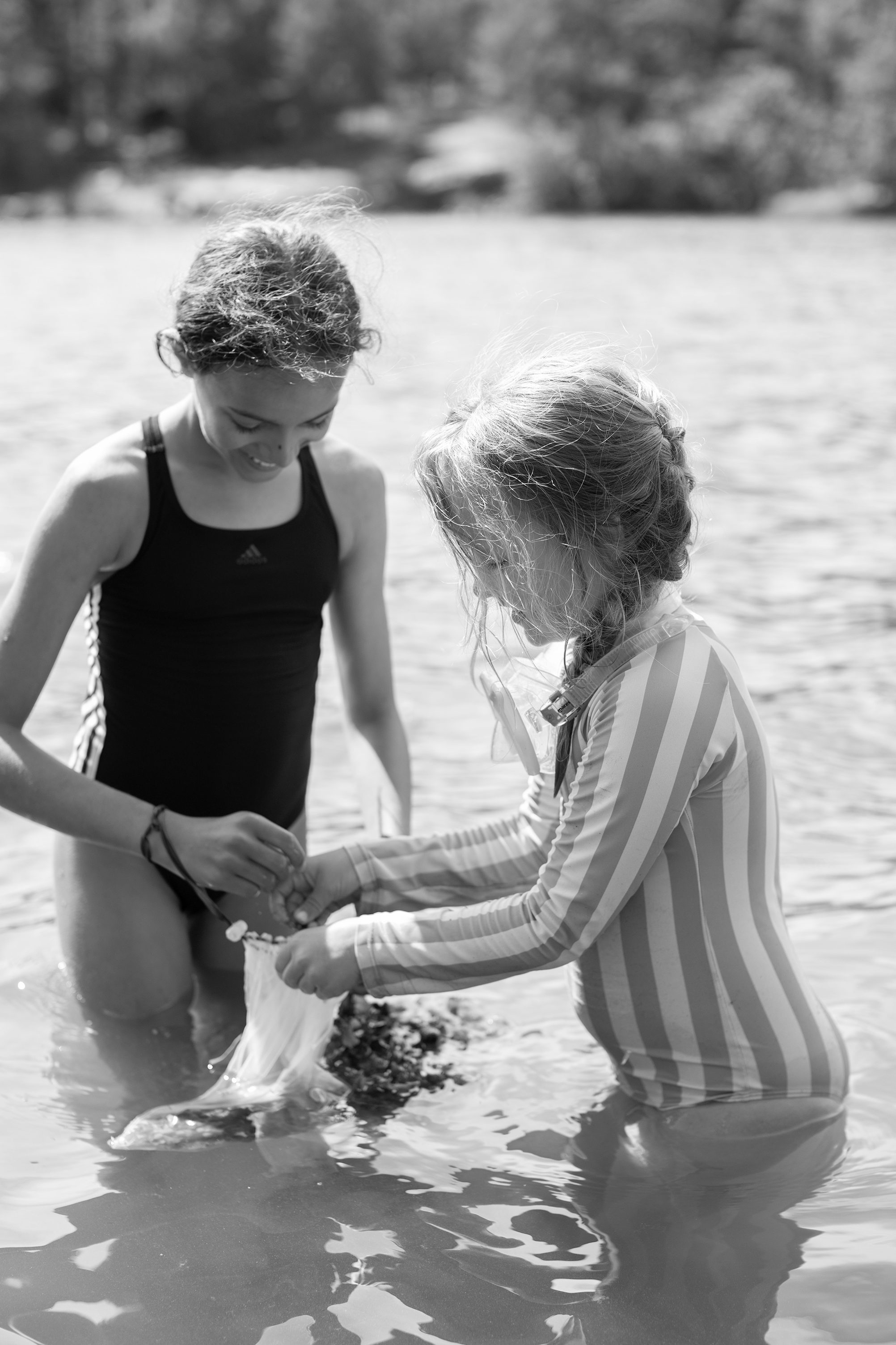 Två flickor står i vattnet och plockar alger . svartvit bild